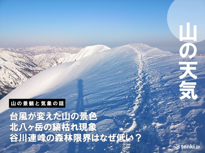 豆知識で登山をより楽しく！山の景観を変えた気象の話