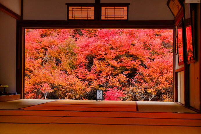 紅葉を愛でる日本人の心とは 身近な紅葉を楽しもう その2 Tenki Jpサプリ 年10月29日 日本気象協会 Tenki Jp