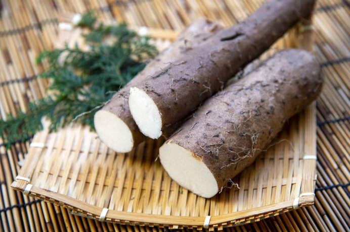 11月16日は自然薯の日！薩摩生まれの自然薯を使ったお菓子をご紹介