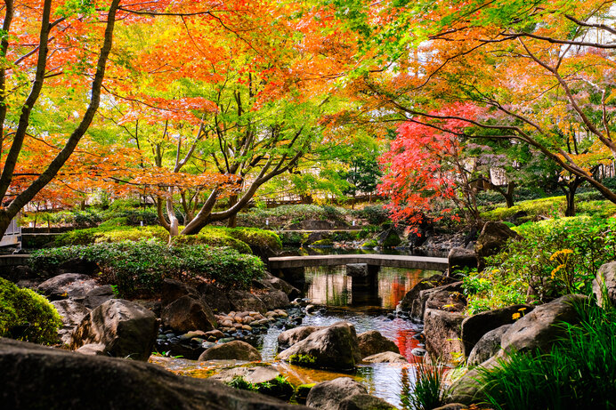大田黒公園の紅葉（写真はイメージです）