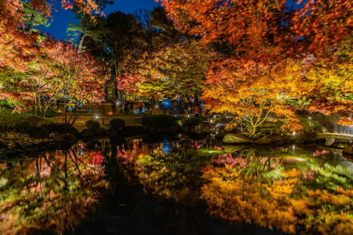 東京 横浜の紅葉が見ごろに 古き良き庭園でお散歩はいかがですか Tenki Jpサプリ 年11月25日 日本気象協会 Tenki Jp