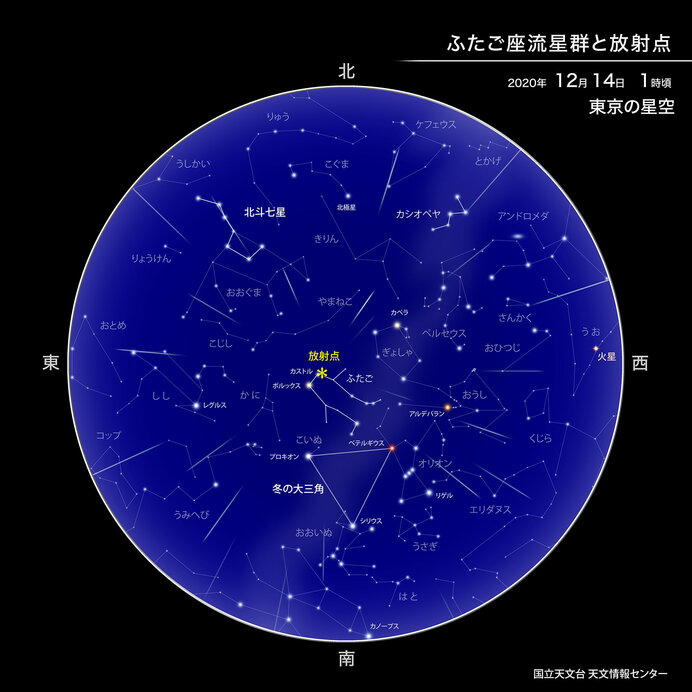 12月14日にふたご座流星群が極大！ところで、どんな双子さん？(季節