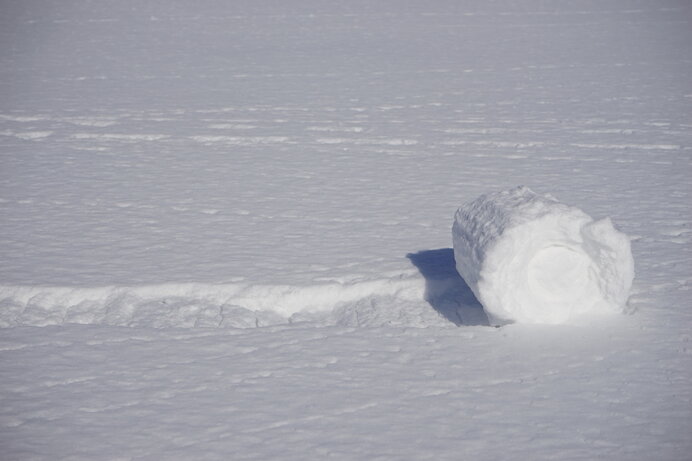 雪原にロールケーキ 風で転がる 雪まくり Tenki Jpサプリ 21年02月10日 日本気象協会 Tenki Jp