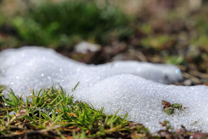 雪を愛でて楽しむ～平安文学に見られる雪～（後編）_画像