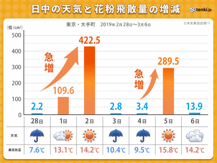 雨の翌日