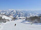 安心してスキーを楽しむための工夫をしているスキー場【北陸エリア編】