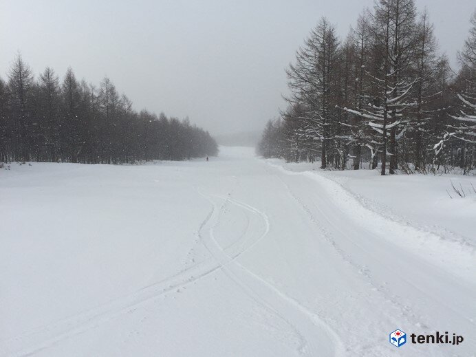 新雪のゲレンデサイドでもバウダーは楽しめる