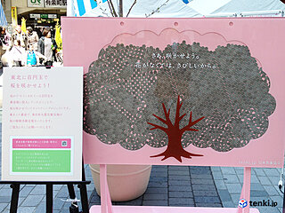 春を報（しら）せる百円桜プロジェクト　東日本大震災から10年　桜の生長と共に振り返る