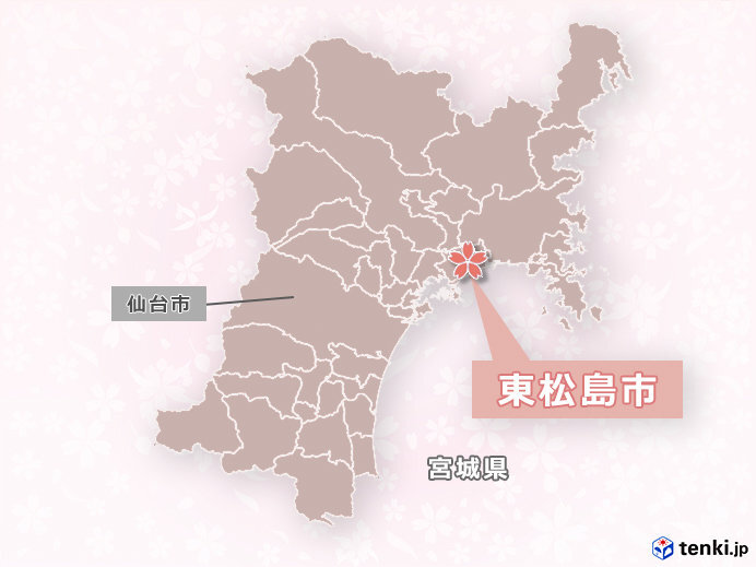宮城県東松島市に30本の桜を植樹 「桜ライン311」などにも参加