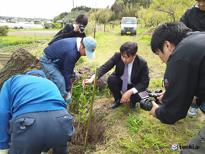 東松島市での植樹のようす(2012年5月4日撮影)