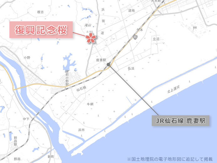 東松島市復興記念桜の地図