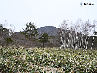 山の天気は変わりやすい　回避ルートも活用しよう！　登山天気アプリで登山中も天気を確認