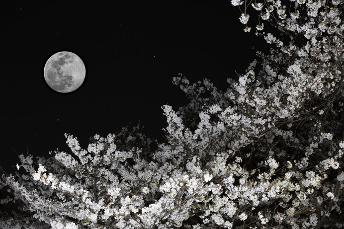 4月27日の満月は「ピンクムーン」。来月は「スーパームーン」で皆既月食！