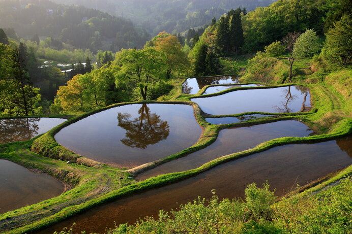 命めぐる究極の楽園。もしも水田が列島から消失してしまったら?(季節