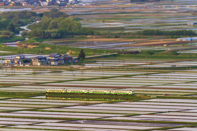 命めぐる究極の楽園。もしも水田が列島から消失してしまったら?(季節