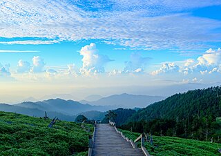 車で行ける夏山〜近畿・東海編〜ひんやりした山で絶景に会いたい