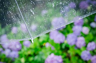 「晴雨兼用」と「雨晴兼用」は同じ？夏日や梅雨にはどちらを使う？