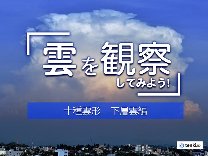 十種雲形 雲は全部で10種類 見分け方を形や高さから解説 下層雲編 Tenki Jpサプリ 21年08月01日 日本気象協会 Tenki Jp
