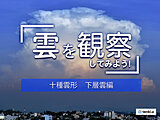 【十種雲形】雲は全部で10種類　見分け方を形や高さから解説！～下層雲編～