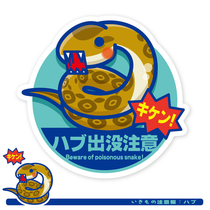 イメージ画像