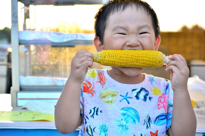 今年もたくさん、トウモロコシを食べましたか?