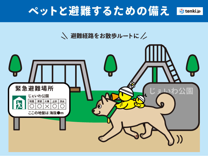 災害発生時の「自助」「共助」