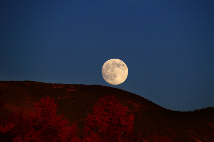 満月は8年ぶり！一年でいちばん美しい月、9月21日は「中秋の名月」です ...