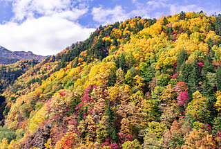 北海道から紅葉シーズンはじまる！ダイナミックな紅葉名所【道北・道東】