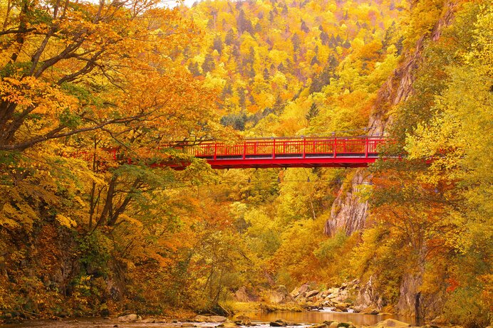 北海道から紅葉シーズンはじまる！ダイナミックな紅葉名所【道央・道南】