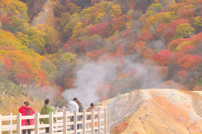 ※写真はイメージです