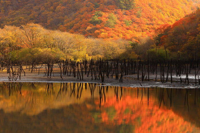 逢いたい東北の紅葉 絶景を楽しむ紅葉名所 岩手 宮城 福島 Tenki Jpサプリ 21年10月14日 日本気象協会 Tenki Jp