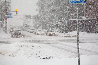 雪で白線が見えない! 頼りになる標識「停止線」「中央線」