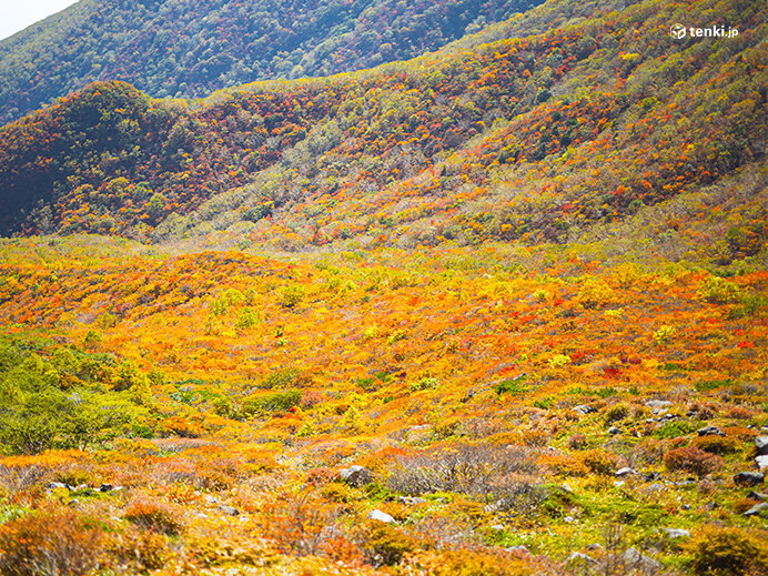 秋山ならではの絶景に会いに行こう！　「紅葉」情報や「雲海」の条件は？　登山天気アプリの活用法も紹介