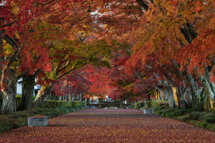 栃木 群馬 茨城の紅葉が輝く ライトアップも美しい紅葉名所 北関東エリア Tenki Jpサプリ 21年10月21日 日本気象協会 Tenki Jp