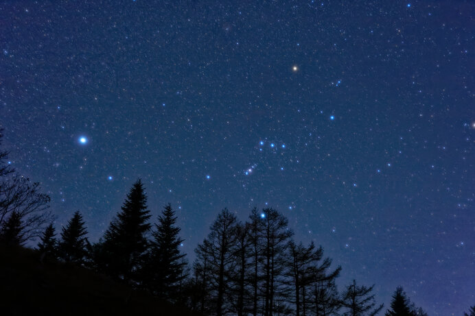 秋の澄んだ夜空に輝きはじめた シリウス の迷宮入りミステリーとは 季節 暮らしの話題 21年10月17日 日本気象協会 Tenki Jp