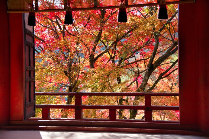 神社やお寺で深まる秋を味わおう 京都 大阪 奈良の紅葉名所 近畿エリア Tenki Jpサプリ 21年11月14日 日本気象協会 Tenki Jp