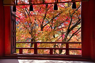 神社やお寺で深まる秋を味わおう！京都・大阪・奈良の紅葉名所【近畿エリア】