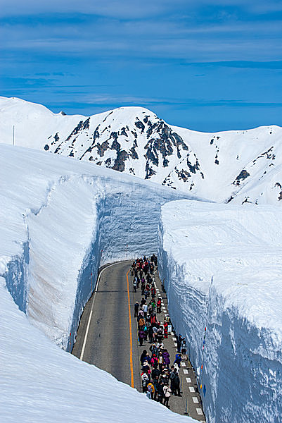 立山黒部アルペンルート「雪の大谷」がスゴい！ 垂直にそびえ立つ