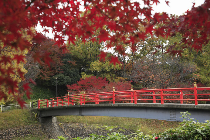 竜田の紅葉橋