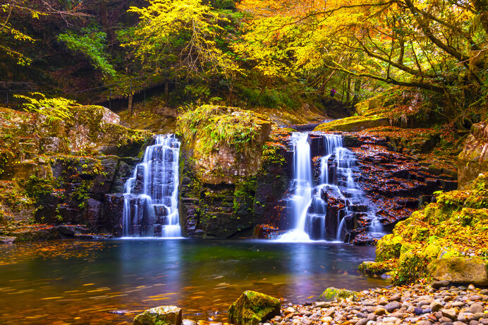 深まる秋の絶景を歩こう 愛知 岐阜 静岡 三重の紅葉名所 東海エリア Tenki Jpサプリ 21年11月08日 日本気象協会 Tenki Jp