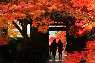 紅葉シーズンはクライマックスへ！九州地方の紅葉名所【九州エリア】