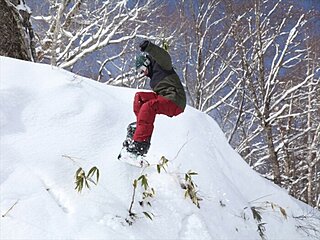 スキーシーズンはじまる！いまから滑れるスキー場【近畿東海エリア】