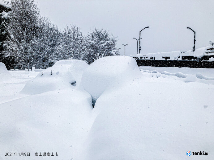 1月　日本海側で豪雪　 富山市で35年ぶりに積雪1メートル超え