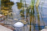 ゴルフボールが池に入った場合の対処法や新ルールを徹底解説