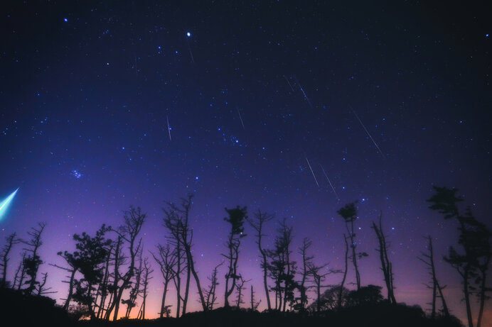 12月後半は天体イベントがにぎやか！黄道十二宮星座から自分の星座を見つけてみよう