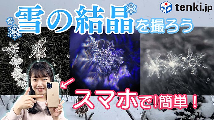 【動画あり】雪の結晶をスマホで撮ってみた！