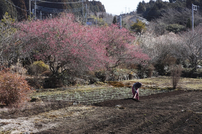 名作『土』を読むべき三つの理由。2月8日は長塚節の忌日「節忌(たかしき)」