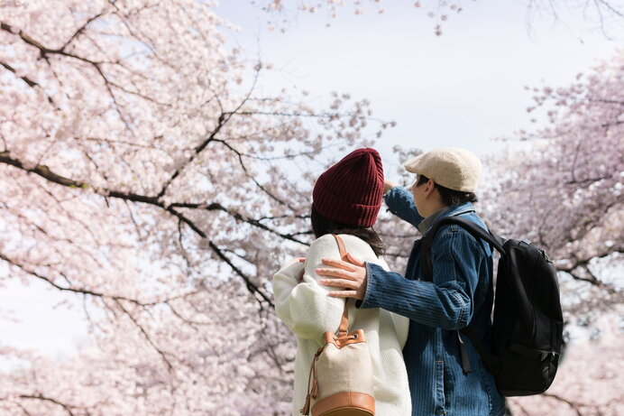 お花見のシチュエーション別！着たい服装の特徴