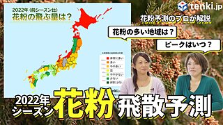 【動画あり】今年の花粉傾向は？ピークはいつ？花粉予測のプロが解説します！