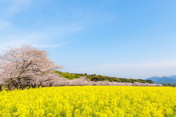 ※写真はイメージです